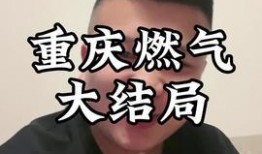 重庆刘先生最新爆料,揭秘某事件背后惊人真相